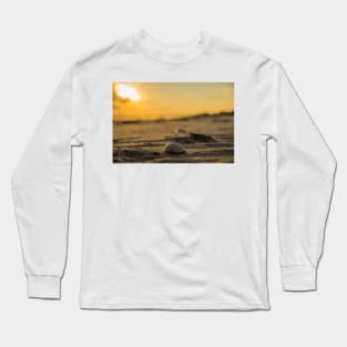 Sand shells Long Sleeve T-Shirt